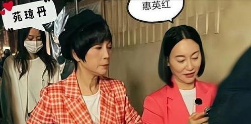 港星搞笑爆料大全视频下载,笑料横飞，幕后故事大揭秘