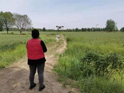 徐州新农人爆料视频,揭秘农村发展新动向  第3张