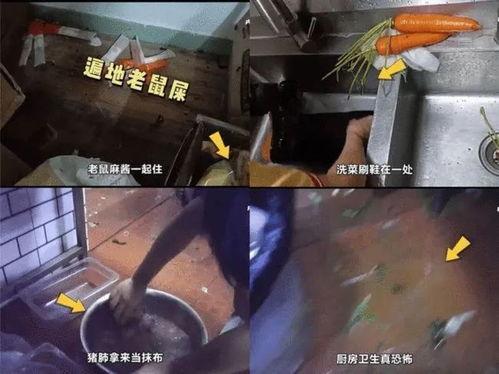 杨国福爆料视频,网红火锅背后的真实故事 第1张 杨国福爆料视频,网红火锅背后的真实故事 第1张